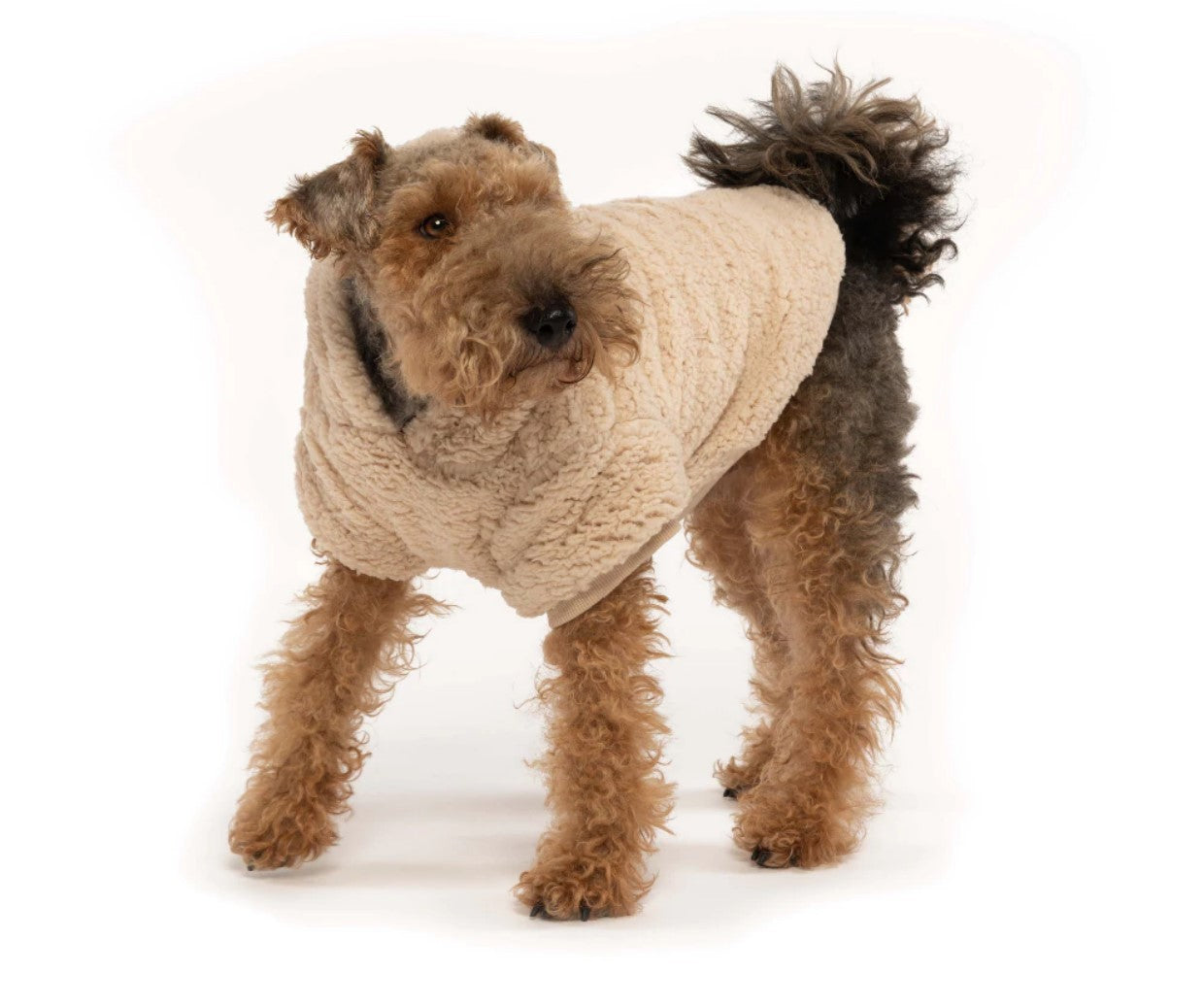 Cream Sherpa Dog Hoodie