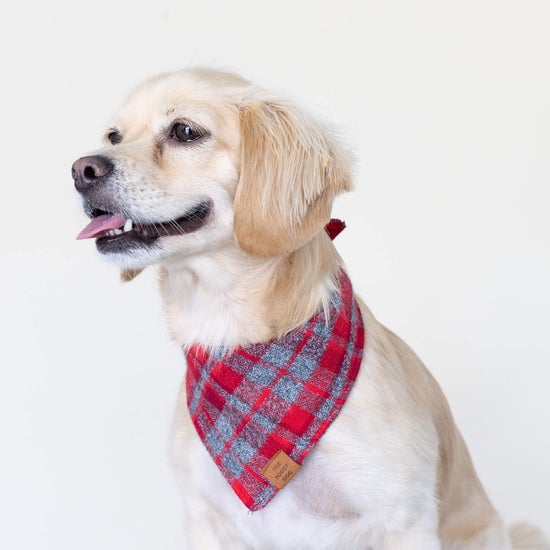 Dover Plaid Flannel Dog Bandana