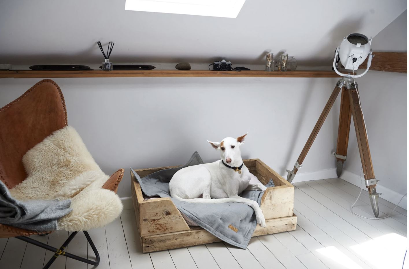 Luxury Dog Eiderdown - Grey / Grey