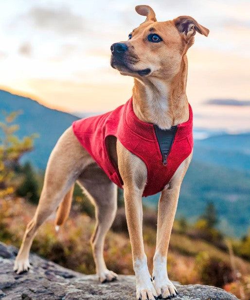 K9 Core Dog Sweater - Heather Red
