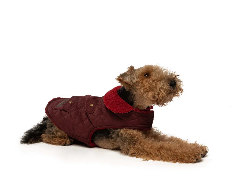 Quilted Shearling Dog Coat - Olive