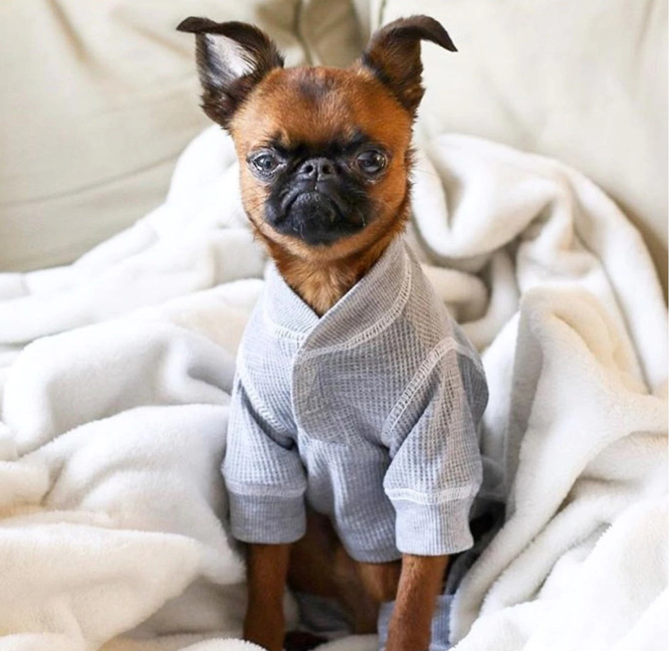 Heather Grey Thermal Dog Pajamas