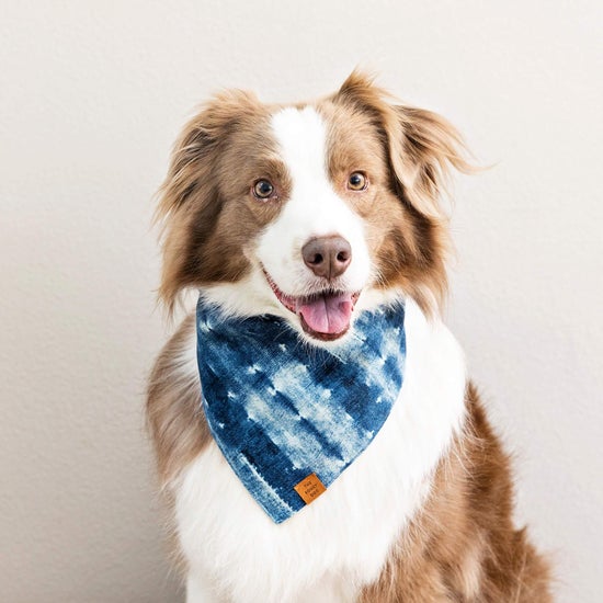 Indigo Mud Cloth Dog Bandana