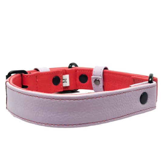 Watermelon Lilac Leather Dog Collar