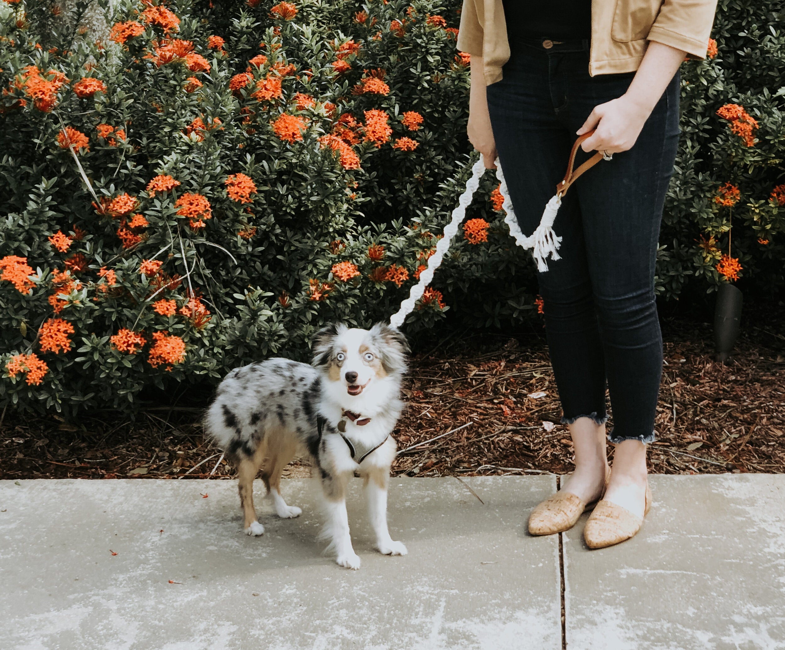 Macramé Dog Leash with Leather Handle - Natural