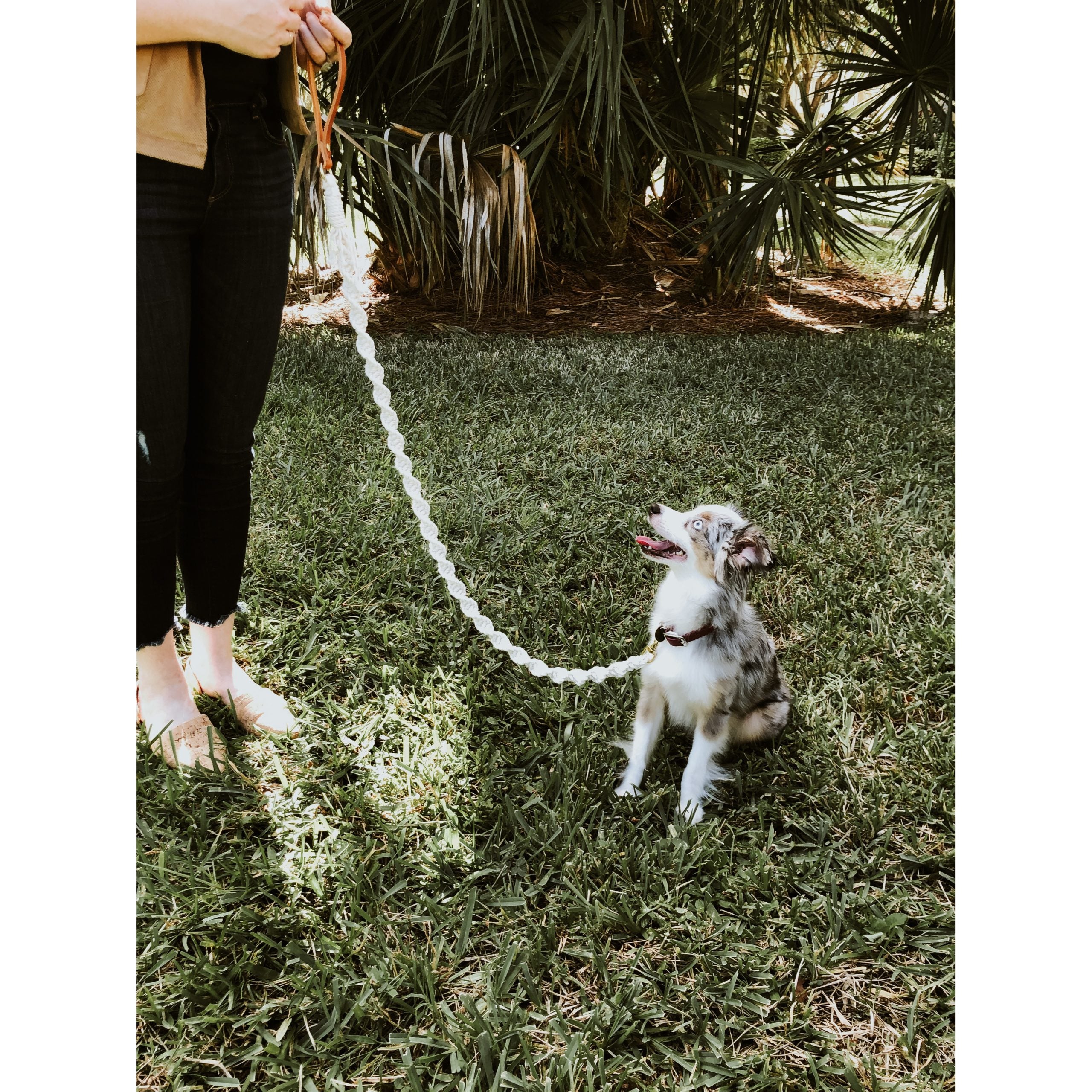 Macramé Dog Leash with Leather Handle - Natural