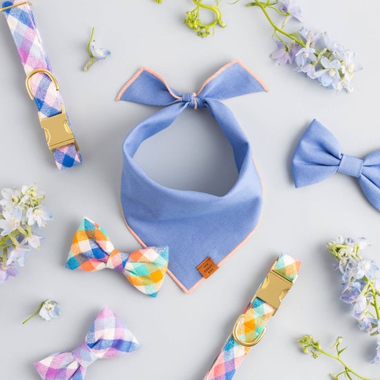 Periwinkle Dog Bandana