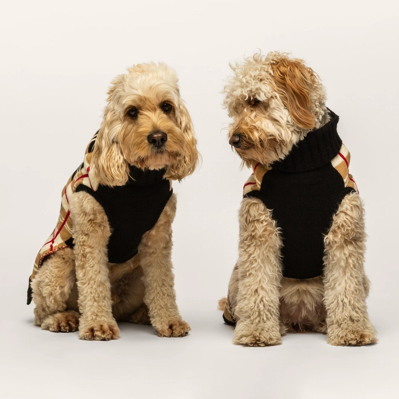 Plaid Dog Sweater