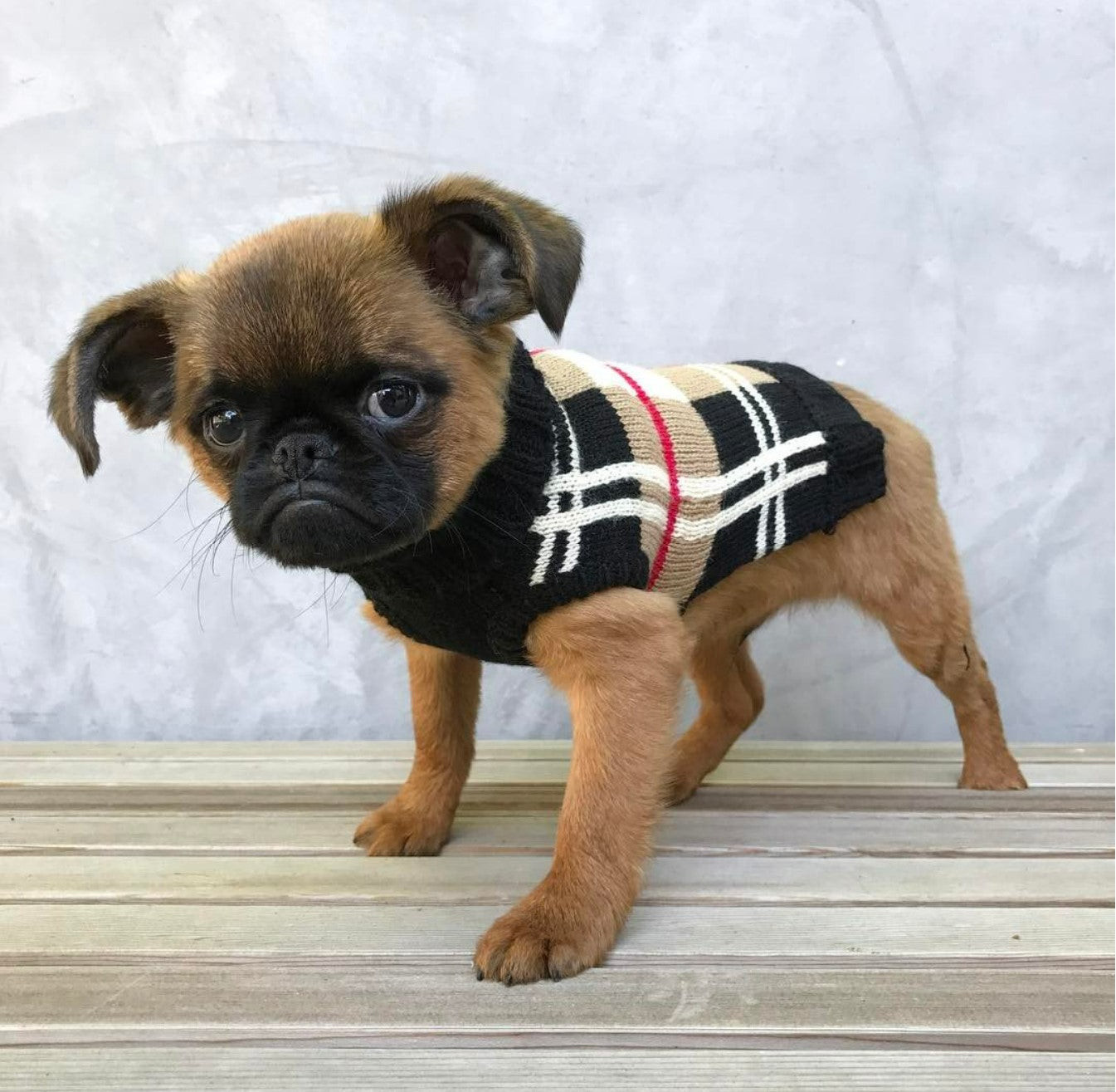 Plaid Dog Sweater