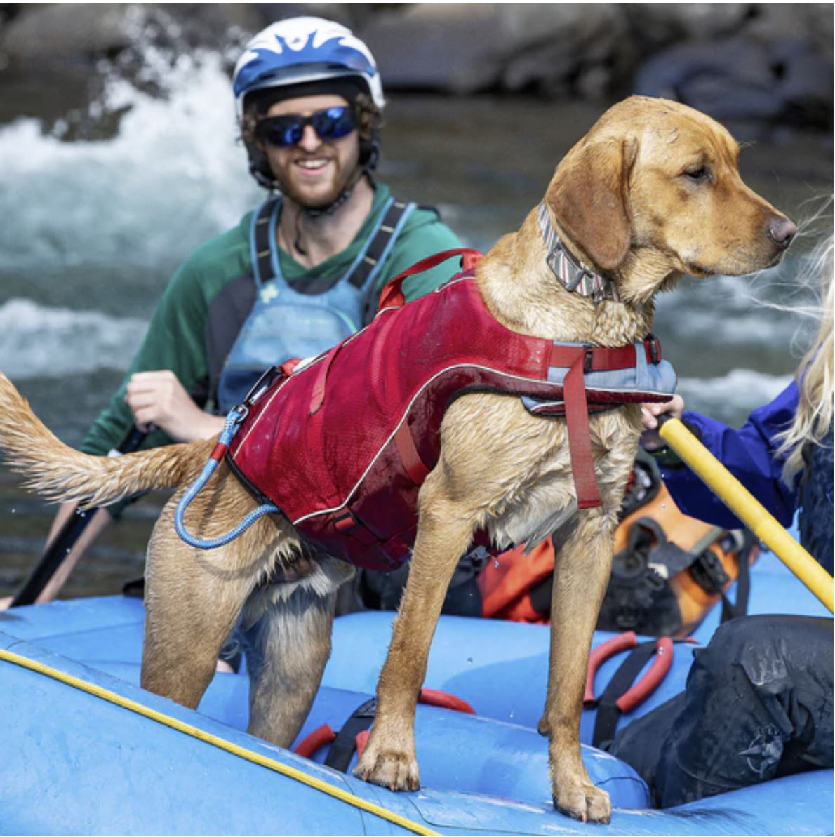 Surf N Turf Green Dog Life Jacket