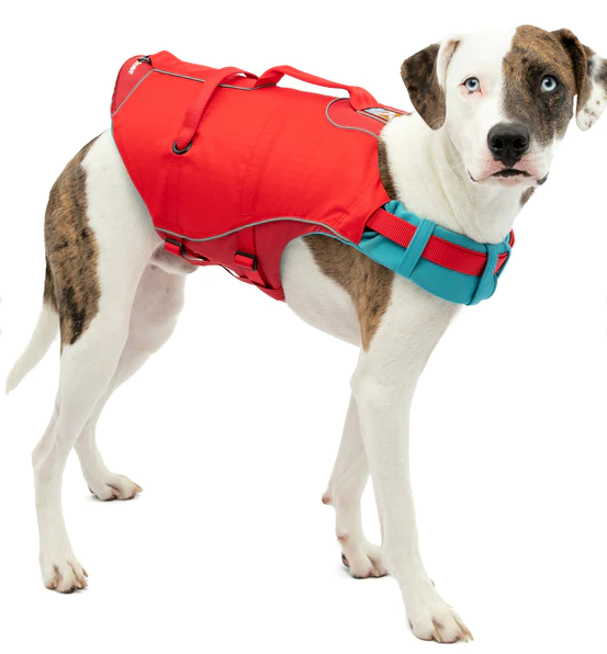 Surf N Turf Red Dog Life Jacket