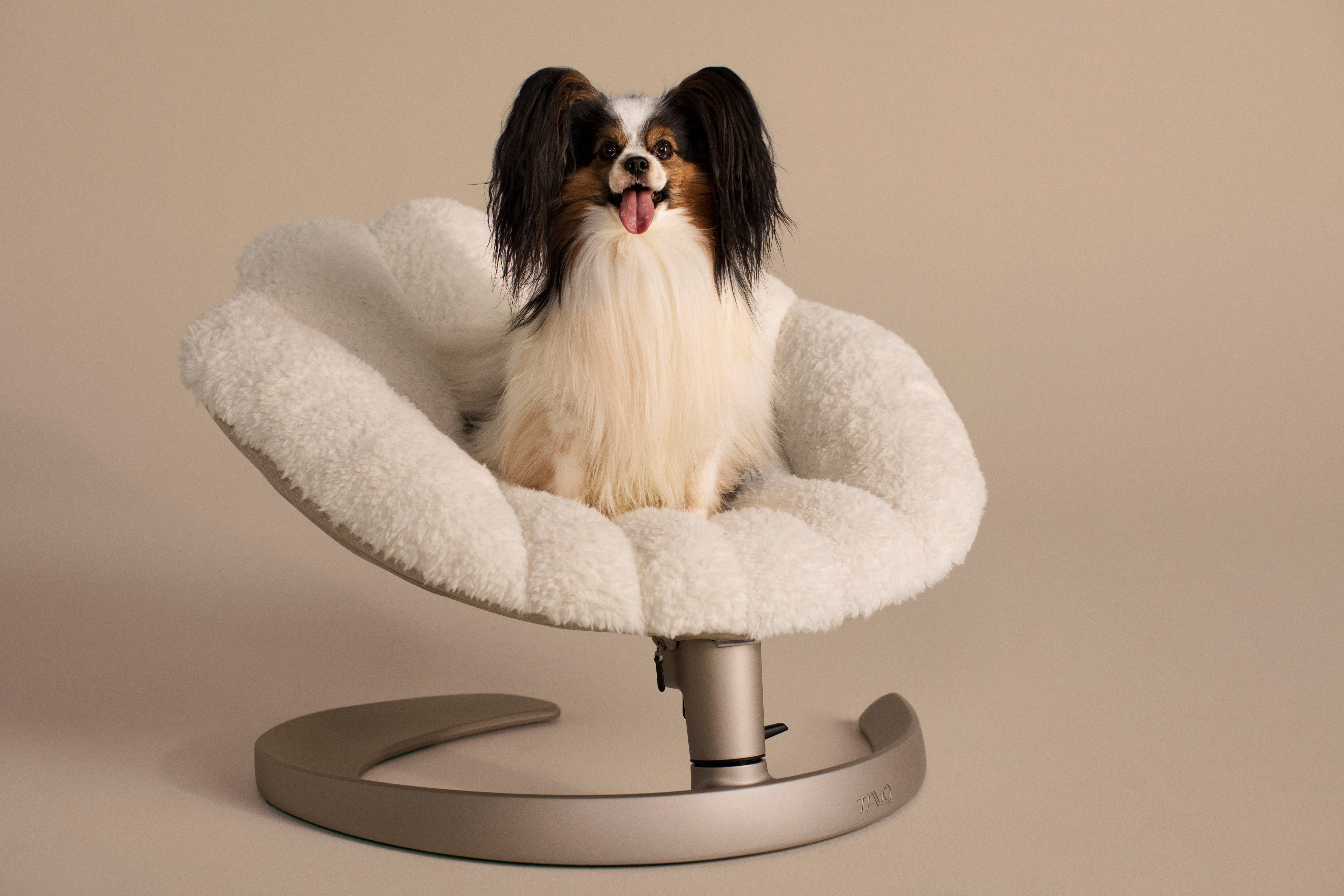 Shell Pet Bed and Swaying Lounger