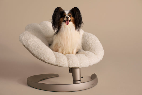 Shell Pet Bed and Swaying Lounger – Happy Breath