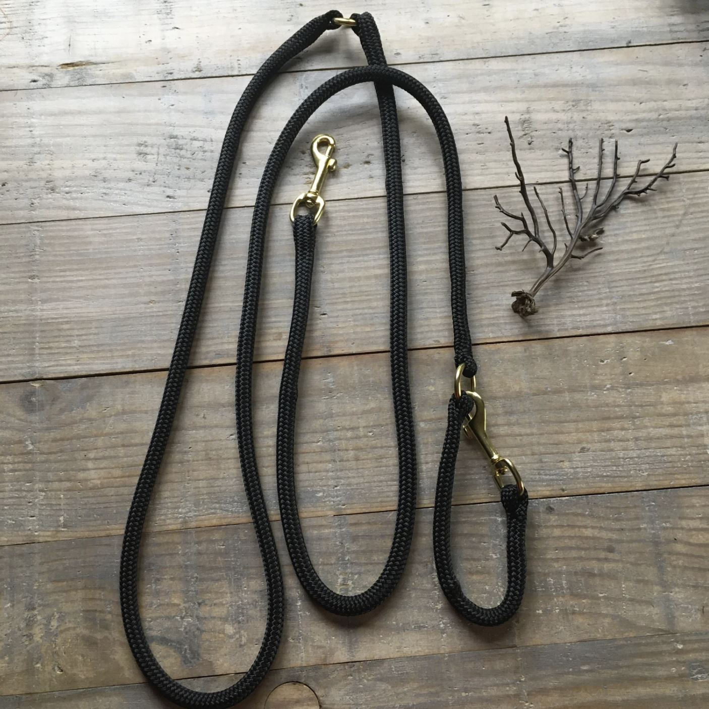 Training Multiway Dog Lead