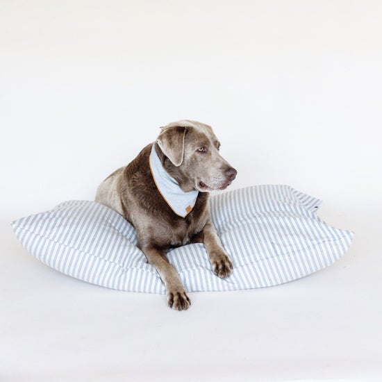 Upcycled Denim Dog Bandana