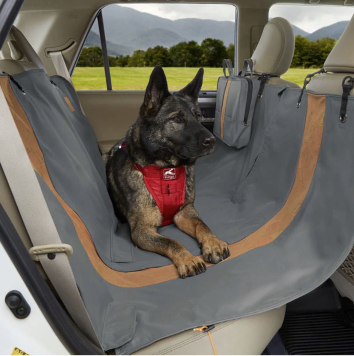Wander Dog Hammock - Charcoal
