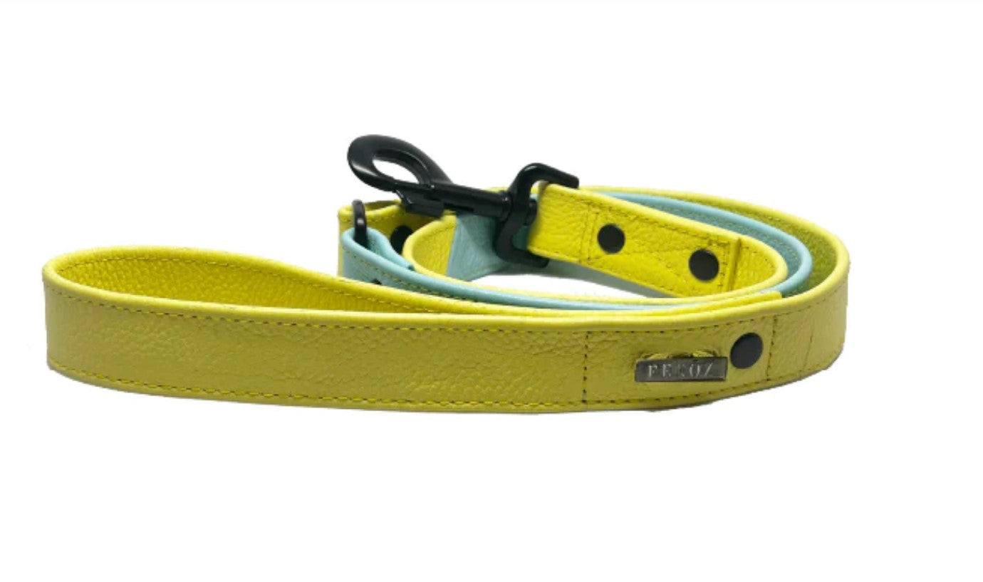 Yellow lemon Dog Leather Leash