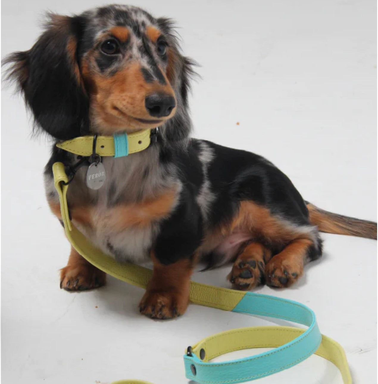 Yellow lemon Dog Leather Leash