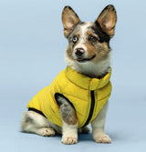 Red & Navy Pack N' Go Reversible Dog Puffer