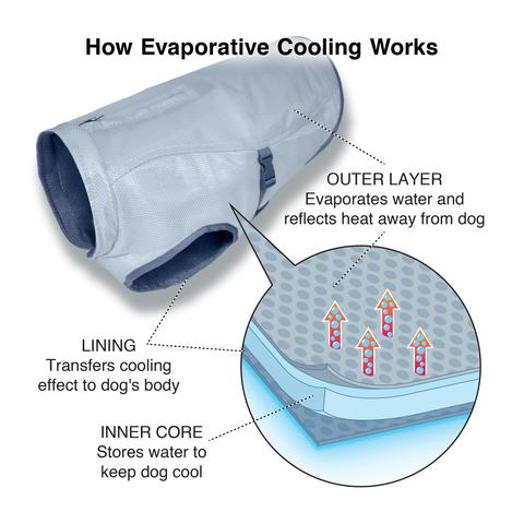 Core Cooling Dog Vest