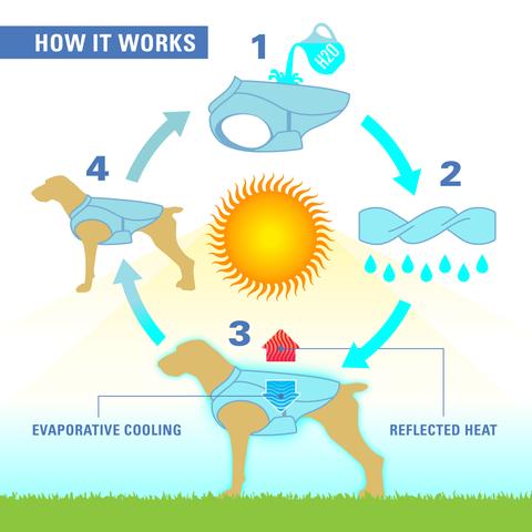 Core Cooling Dog Vest