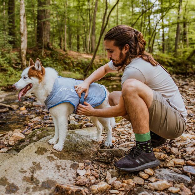 Core Cooling Dog Vest