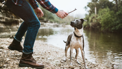 Outdoor Activities for Dogs