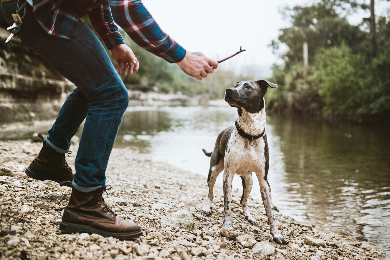 Outdoor Activities for Dogs