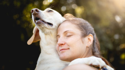 Top Dangers for Dogs