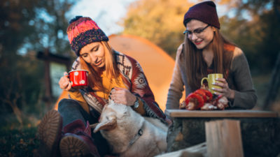 Camping with Pet Dogs