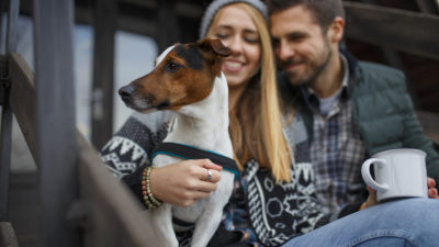 Dog for Winter - Happy Breath