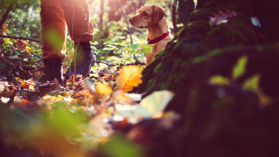 For your Dog - Happy Breath