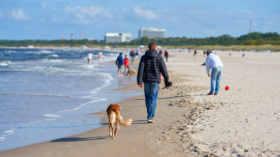 Beath Cleanup - Happy Breath