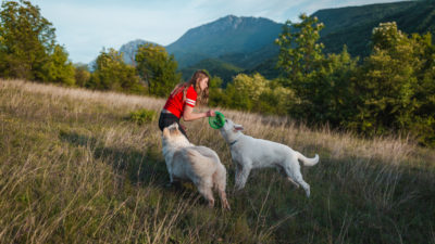Day Out with The Dog - Happy Breath