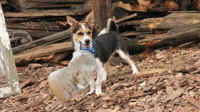 Saving the Earth - Happy Breath