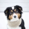 Oakmeal Infinity Dog Scarf - Happy Breath