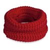 Red Infinity Dog Scarf 2 - Happy Breath