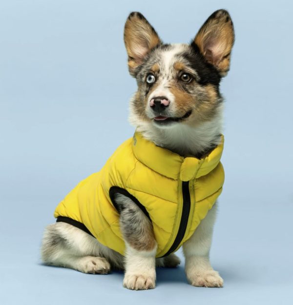 Yellow Pack n Go Reversible Puffer Dog Coat - Happy Breath