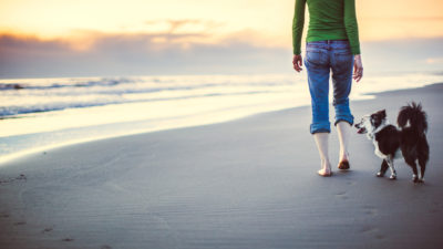 Beach with Your Dog - Happy Breath