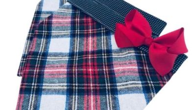 Dress Stewart Plaid Washable Wool Dog Bandana - Happy Breath