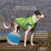 Loft Dog Jacket - Blue / Orange - Image 5