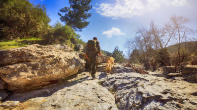 Hiking with your dog - Happy Breath