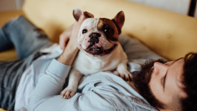 Lessons from a dog - Happy Breath