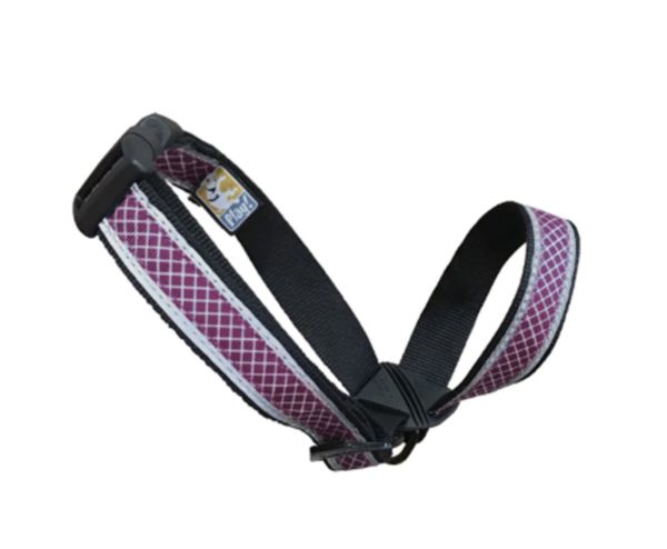 Snout About - Dog Head Halter - Raspberry 3 - Happy Breath