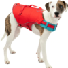 Surf N Turf Red Dog Life Jacket