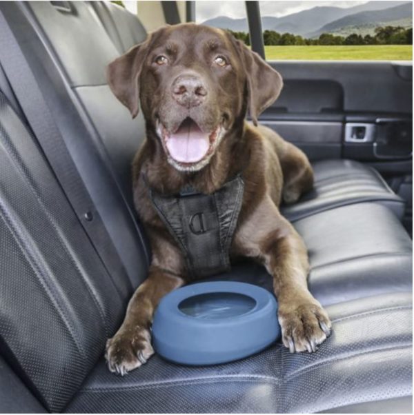 Splash Free Wander Dog Water Bowl - Happy Breath