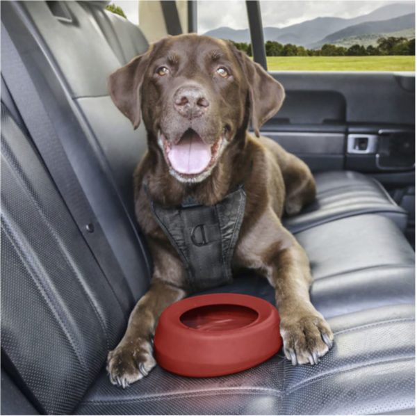 Splash Free Wander Dog Water Bowl Red - Happy Breath - Copy