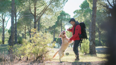 Dog for Hiking - Happy Breath