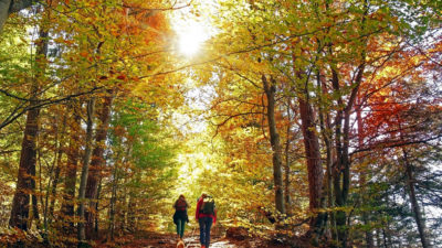 Preserving the Environment - Happy Breath