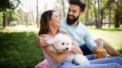 Best Care of Your Dog - Happy Breath